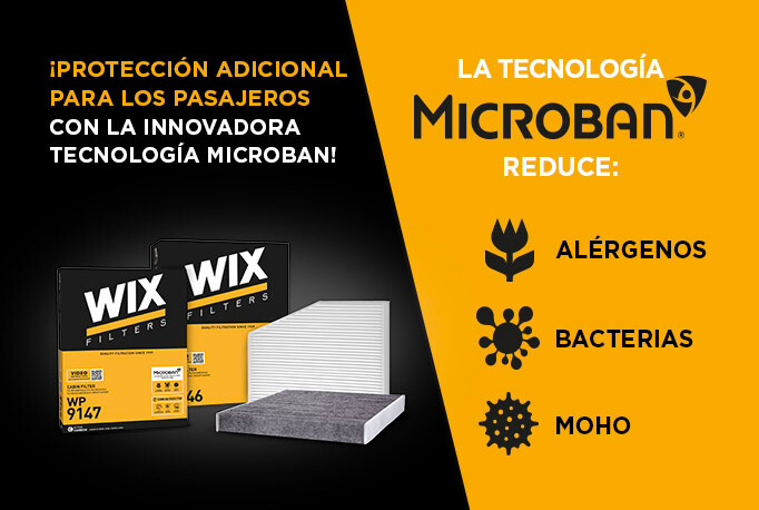 wix baner 682x485 02 jezyki_0006_FR
